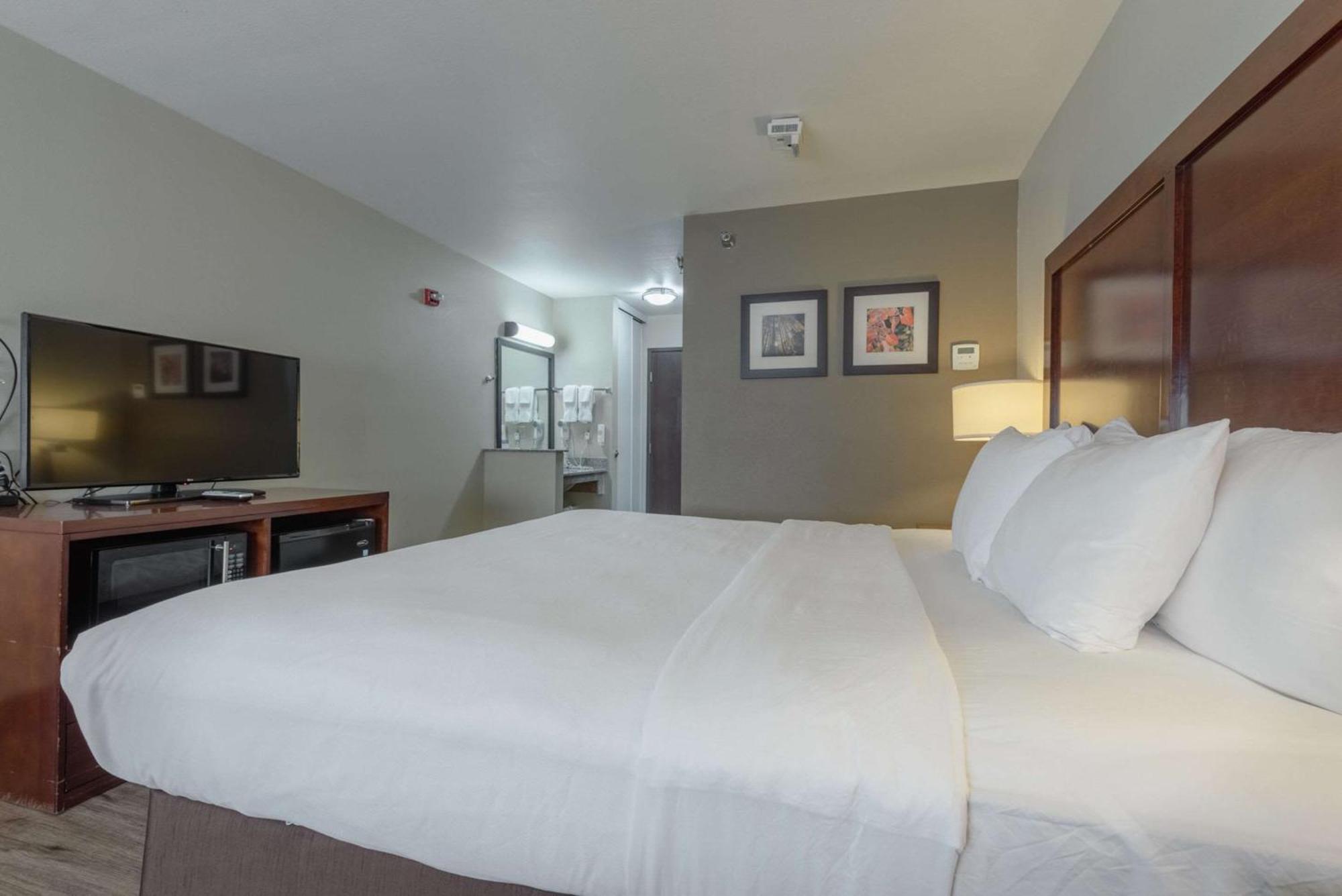 Comfort Inn & Suites Аламоса Екстериор снимка