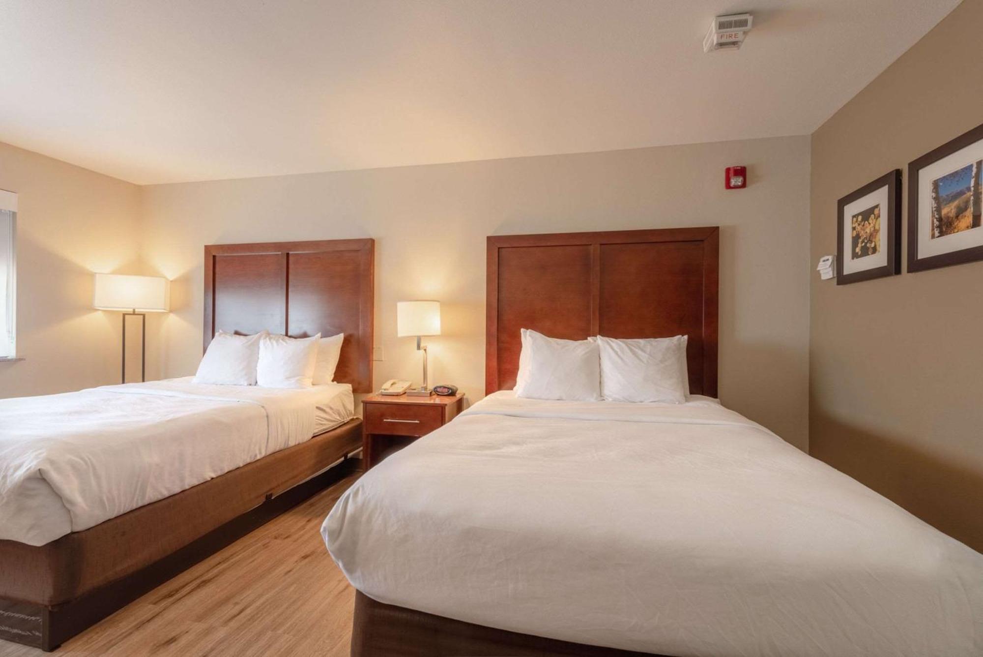 Comfort Inn & Suites Аламоса Екстериор снимка